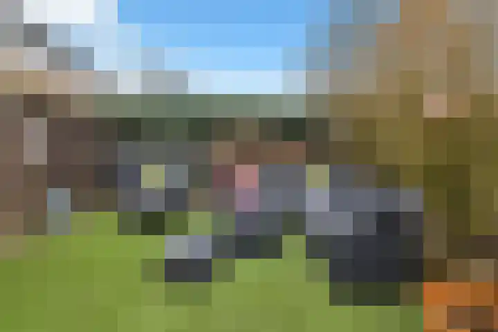 Bûtewacht 40 Drachten thumbnail 38