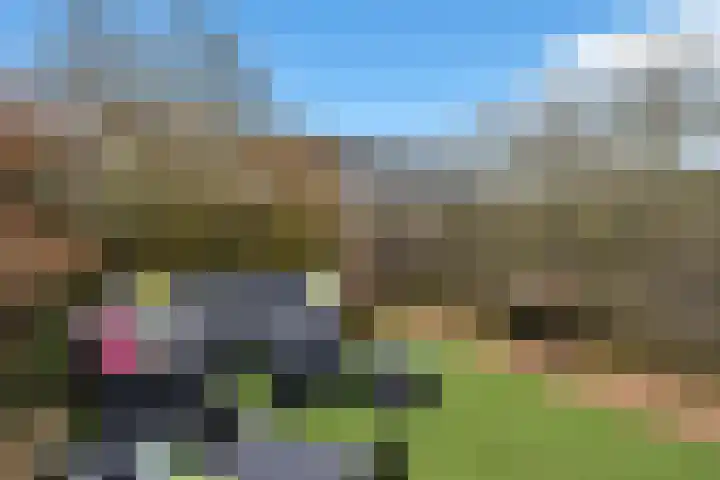 Bûtewacht 40 Drachten thumbnail 39