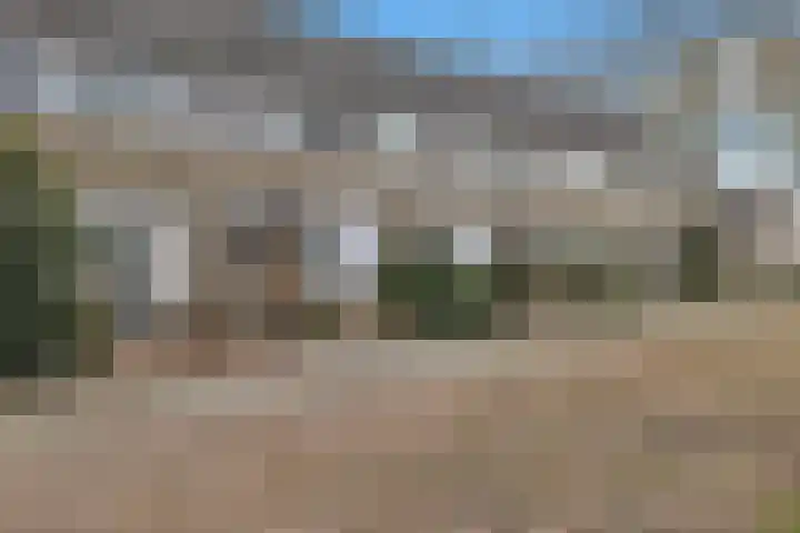 Bûtewacht 40 Drachten thumbnail 4