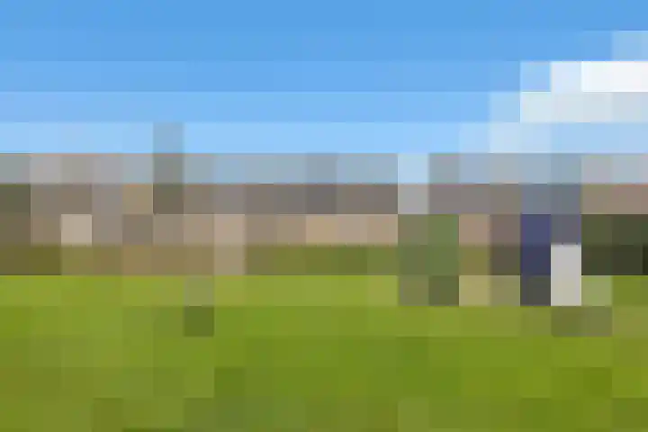 Bûtewacht 40 Drachten thumbnail 41
