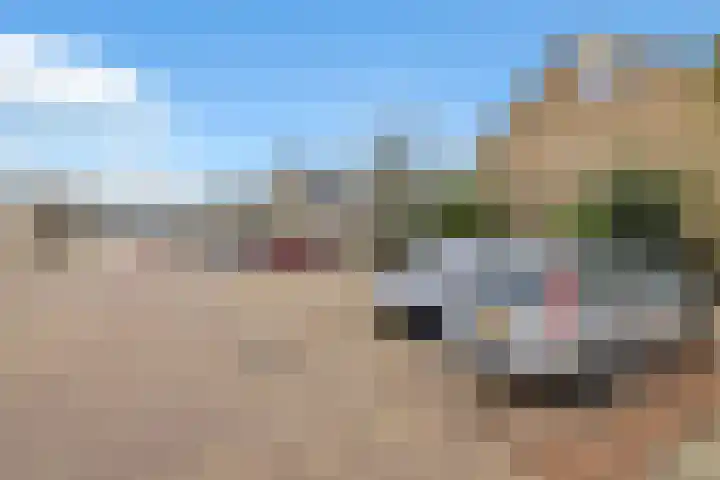Bûtewacht 40 Drachten thumbnail 5
