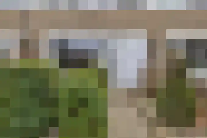 Bûtewacht 40 Drachten thumbnail 6