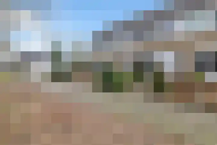Bûtewacht 40 Drachten thumbnail 7