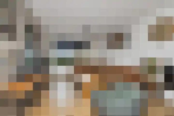 Bûtewacht 40 Drachten thumbnail 9