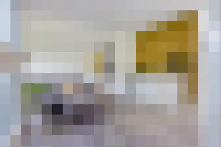Bûtewacht 47 Drachten thumbnail 14