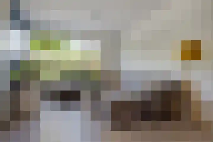 Bûtewacht 47 Drachten thumbnail 21
