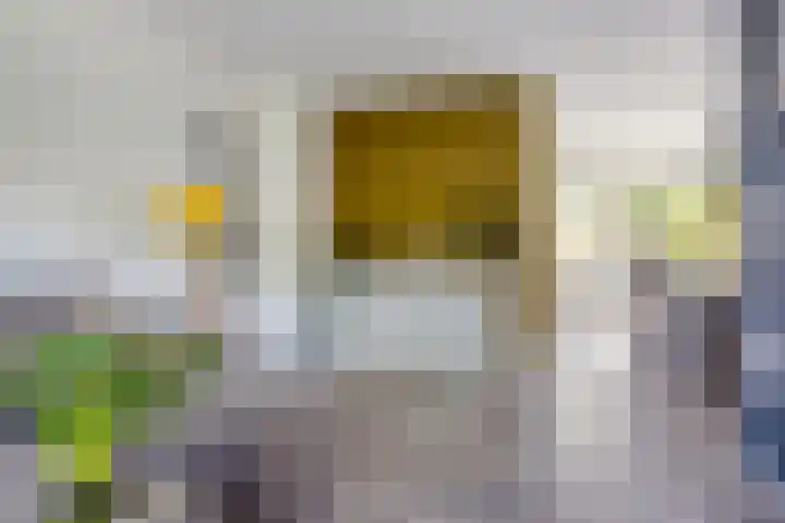 Bûtewacht 47 Drachten thumbnail 22