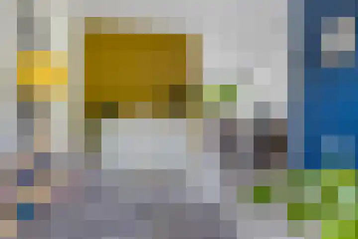 Bûtewacht 47 Drachten thumbnail 23