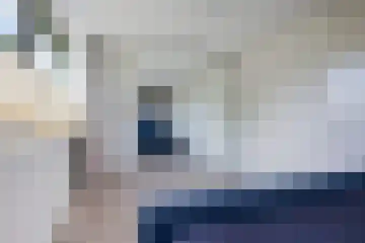 Bûtewacht 47 Drachten thumbnail 33