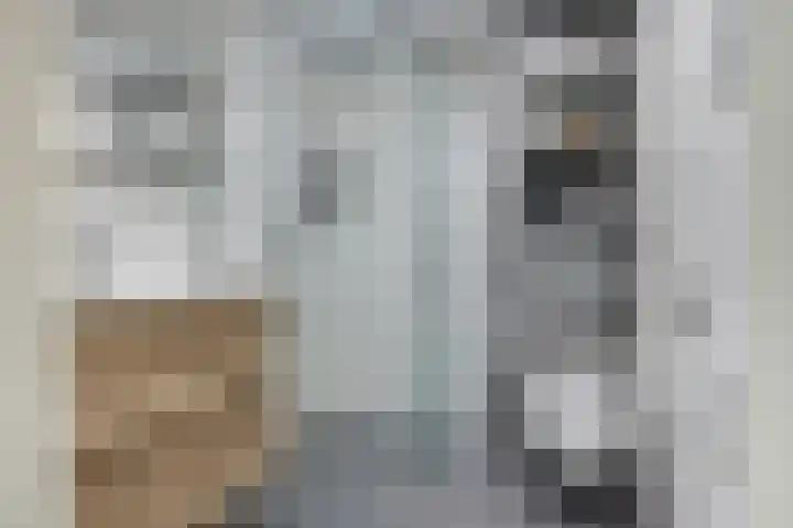 Bûtewacht 47 Drachten thumbnail 36