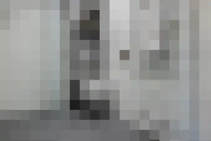 Bûtewacht 47 Drachten thumbnail 39
