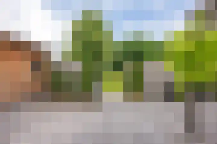 Bûtewacht 47 Drachten thumbnail 45