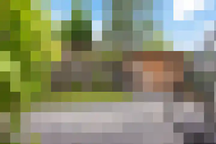 Bûtewacht 47 Drachten thumbnail 46