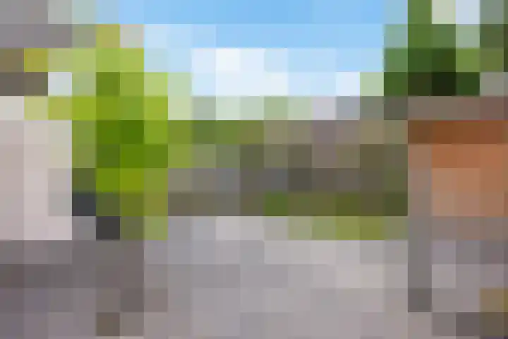 Bûtewacht 47 Drachten thumbnail 47