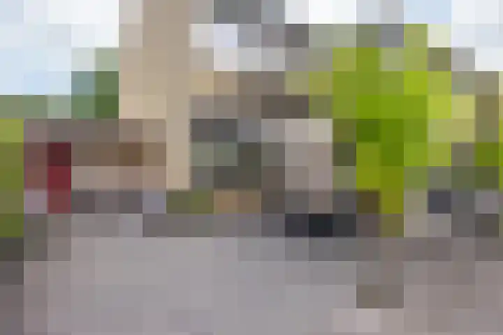 Bûtewacht 47 Drachten thumbnail 48