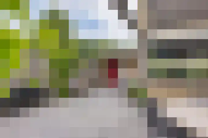 Bûtewacht 47 Drachten thumbnail 49