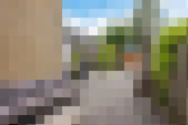 Bûtewacht 47 Drachten thumbnail 50