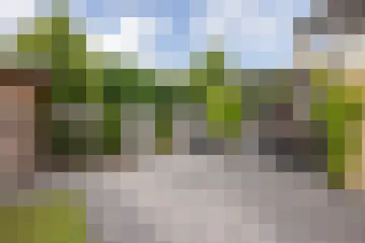 Bûtewacht 47 Drachten thumbnail 52