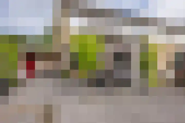 Bûtewacht 47 Drachten thumbnail 53