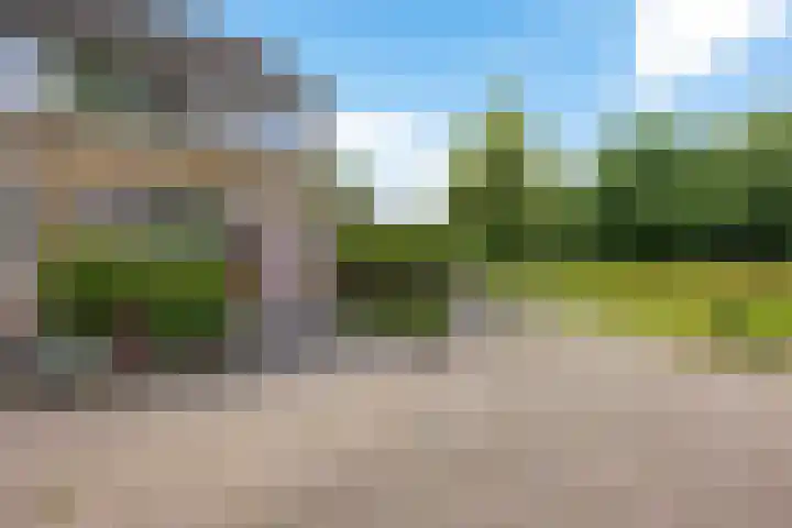 Bûtewacht 47 Drachten thumbnail 6