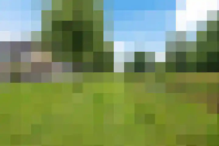 Bûtewacht 47 Drachten thumbnail 8