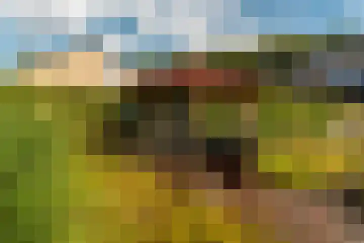 Bûtewacht 65 Drachten thumbnail 13
