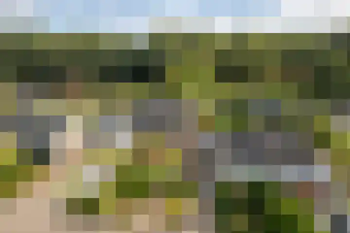 Bûtewacht 65 Drachten thumbnail 14