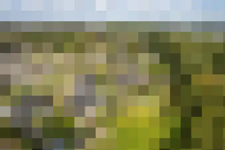 Bûtewacht 65 Drachten thumbnail 15