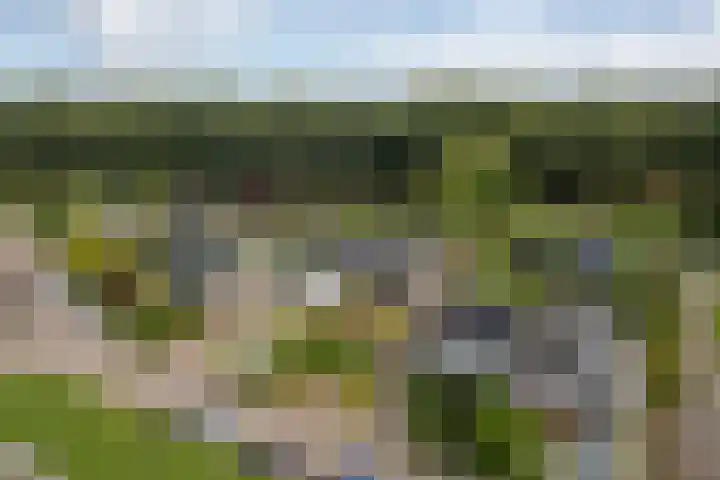Bûtewacht 65 Drachten thumbnail 16