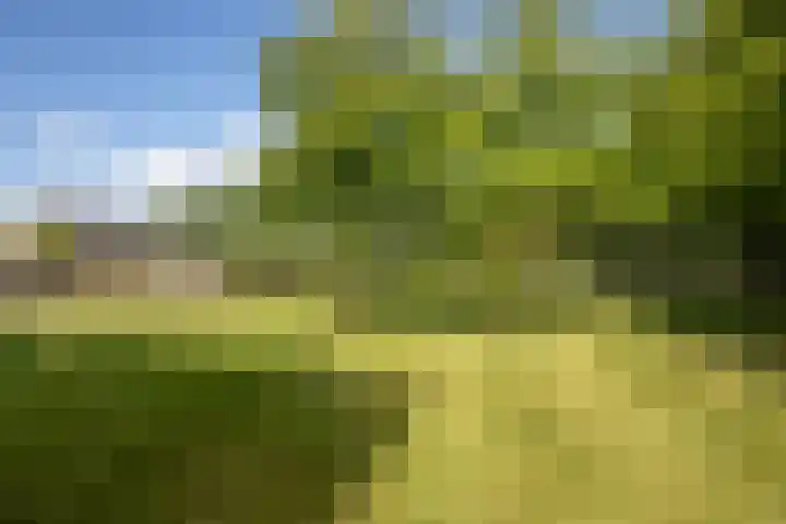 Bûtewacht 65 Drachten thumbnail 18