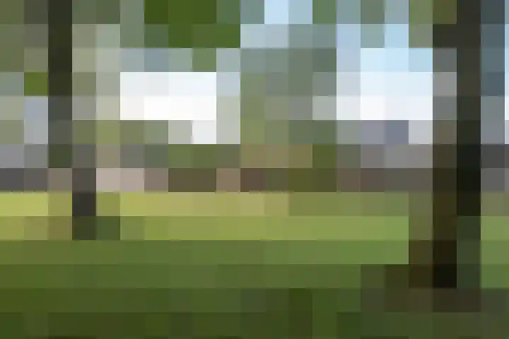 Bûtewacht 65 Drachten thumbnail 19