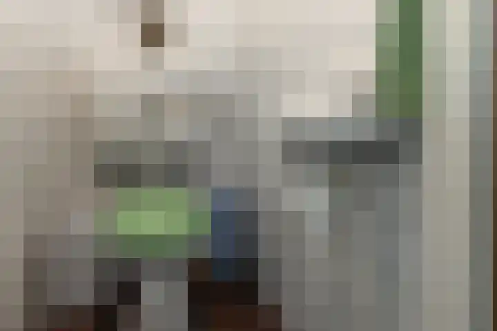 Bûtewacht 65 Drachten thumbnail 34