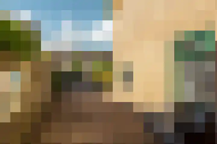 Bûtewacht 65 Drachten thumbnail 5