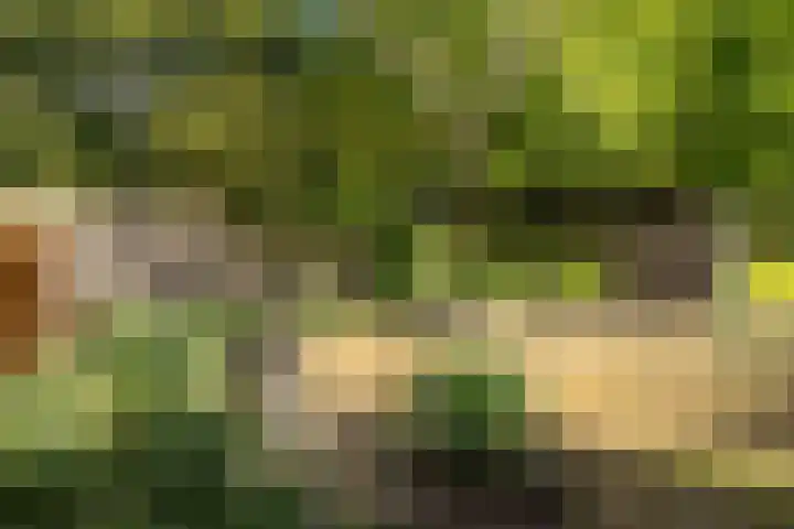 Bûtewacht 65 Drachten thumbnail 8