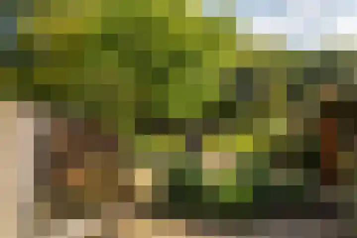 Bûtewacht 65 Drachten thumbnail 9