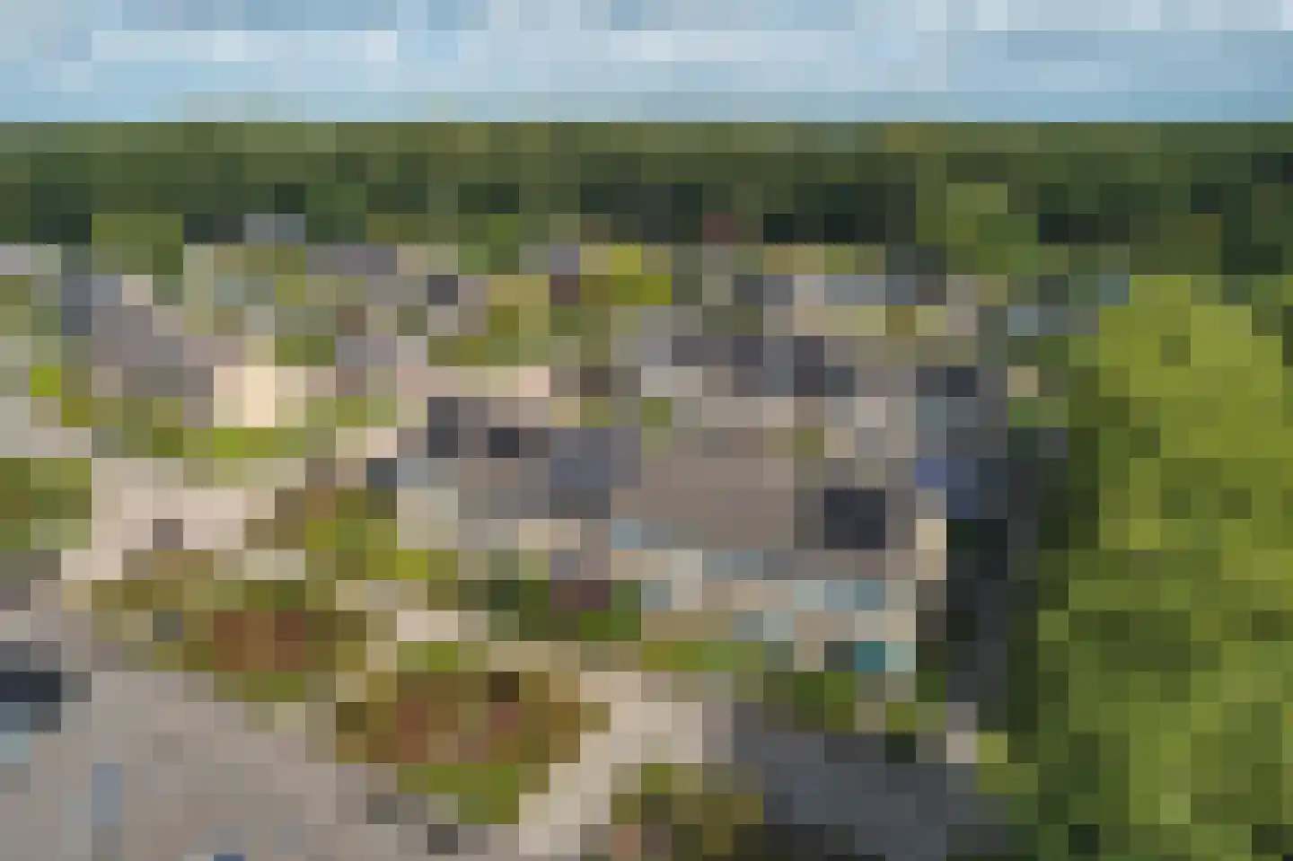 Bûtewacht 94 Drachten thumbnail 38