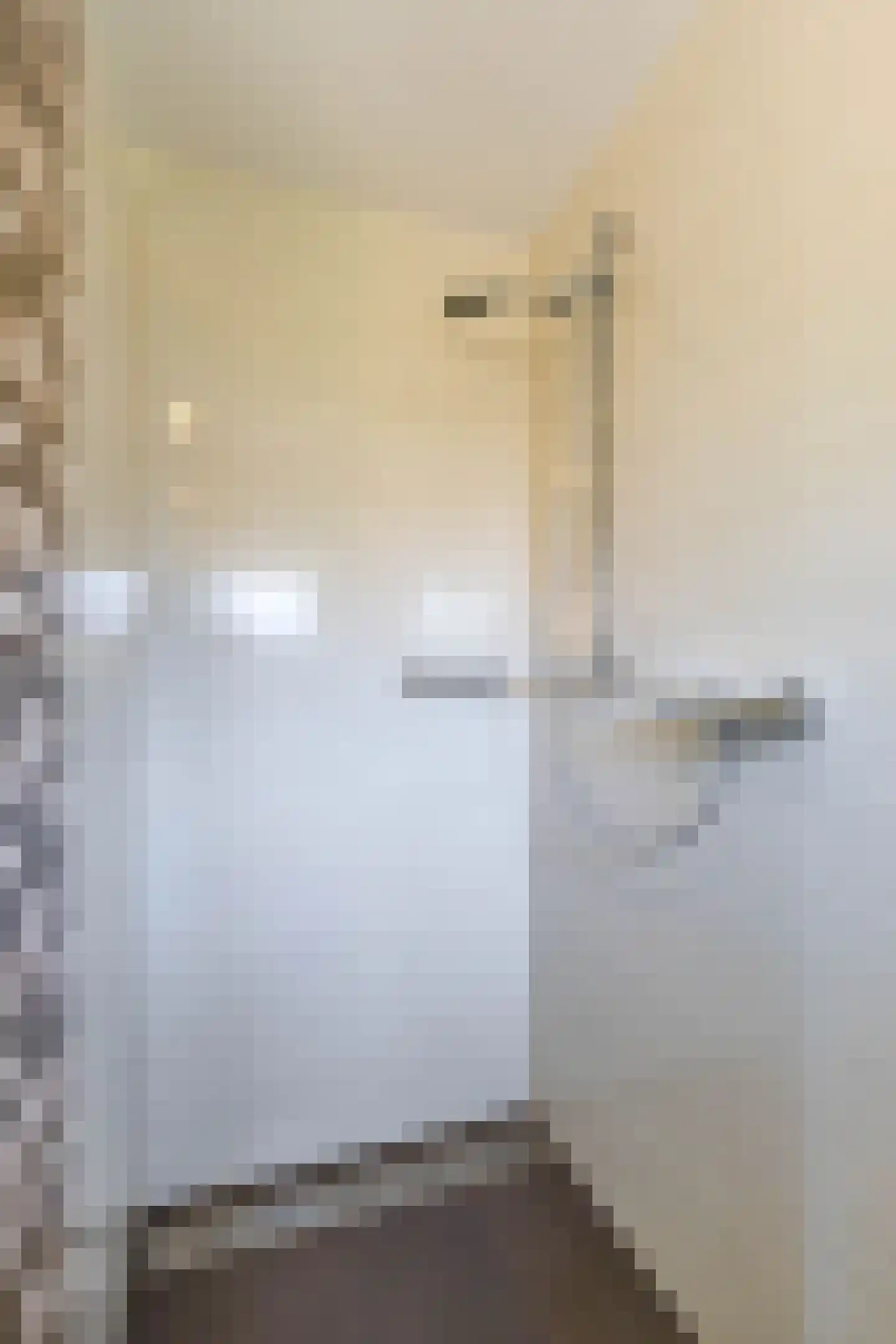 Bûtewei 33 Lippenhuizen thumbnail 16