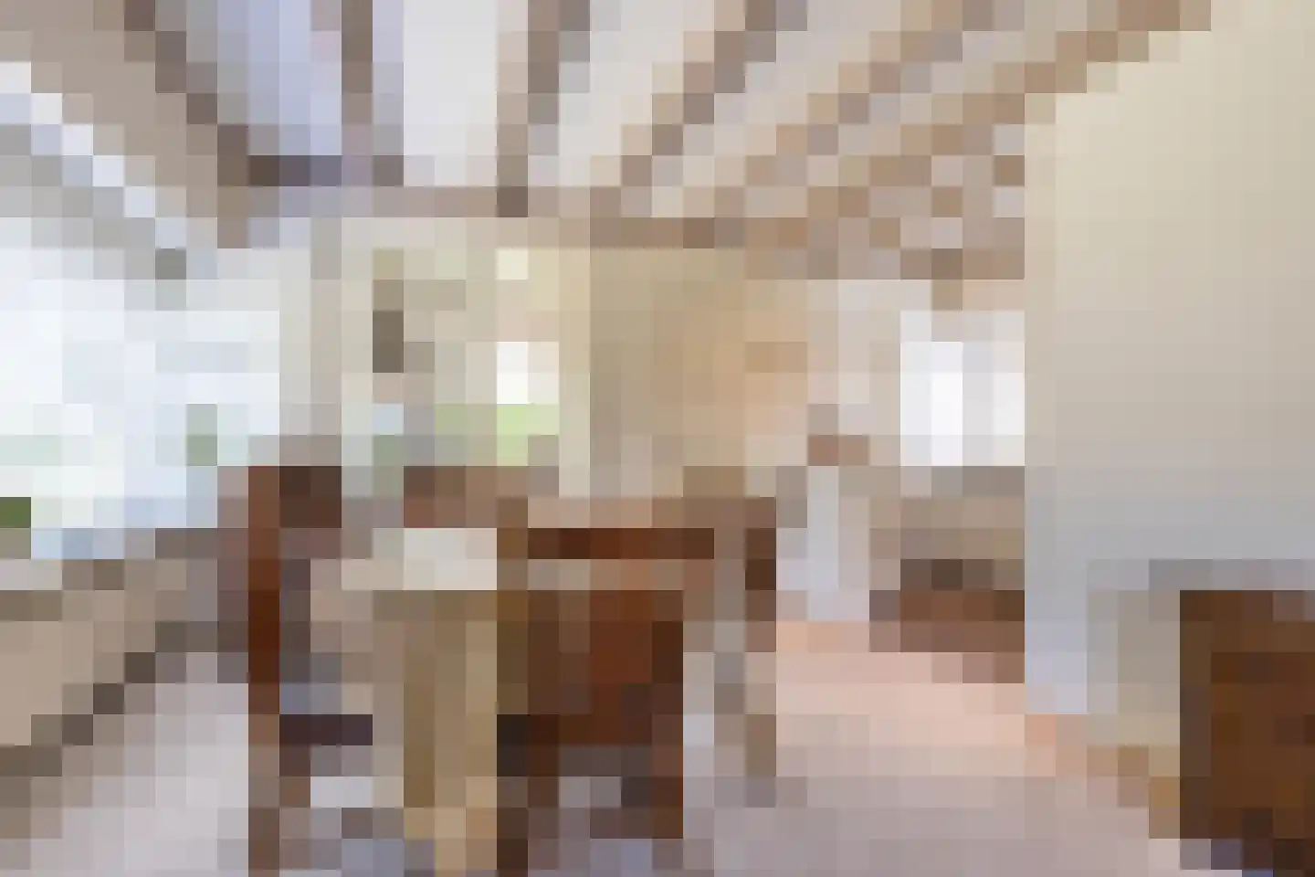 Bûtewei 33 Lippenhuizen thumbnail 23