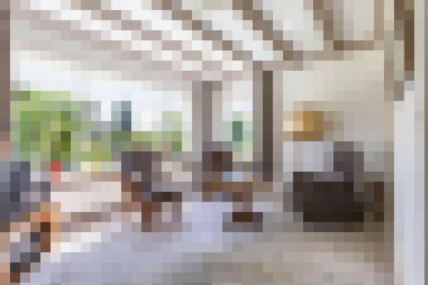 Bûtewei 33 Lippenhuizen thumbnail 29