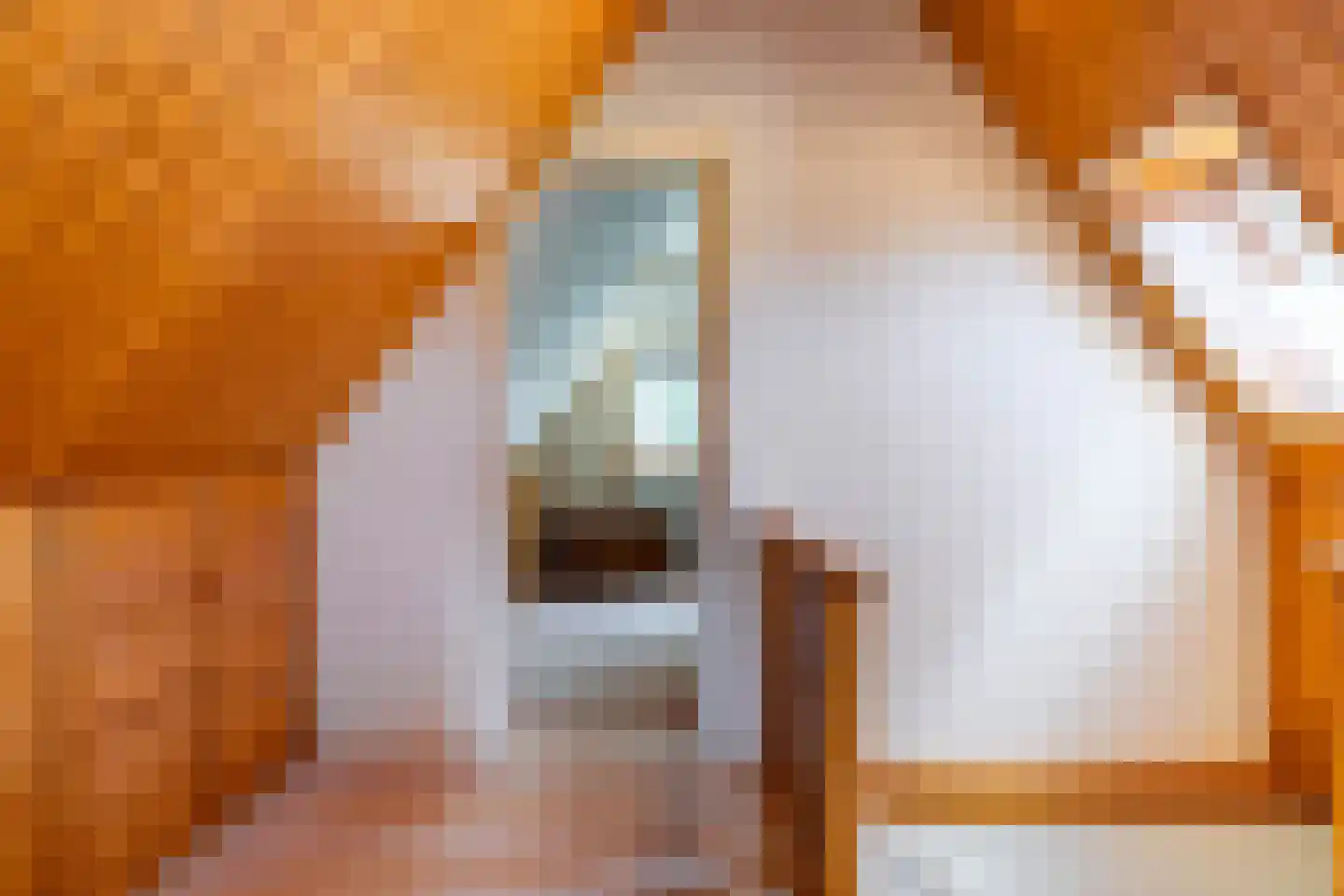 Bûtewei 33 Lippenhuizen thumbnail 34