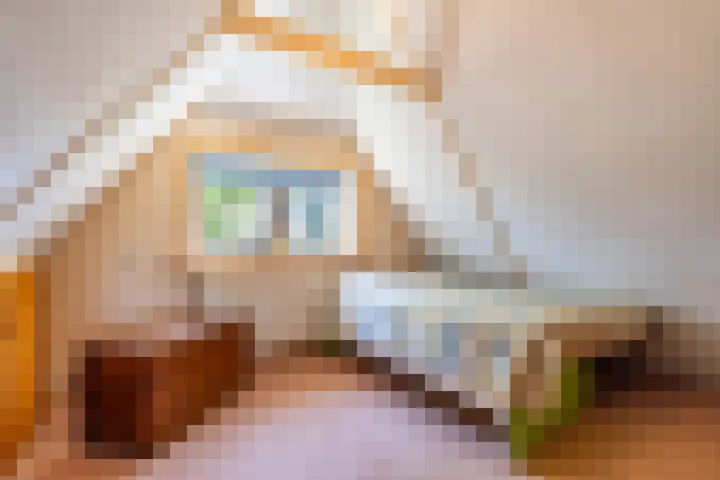 Bûtewei 33 Lippenhuizen thumbnail 36