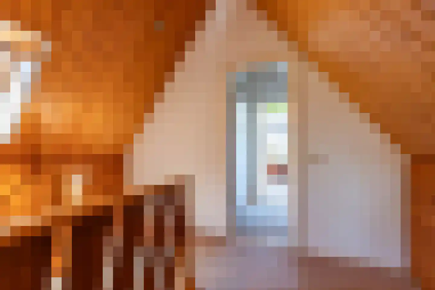 Bûtewei 33 Lippenhuizen thumbnail 38