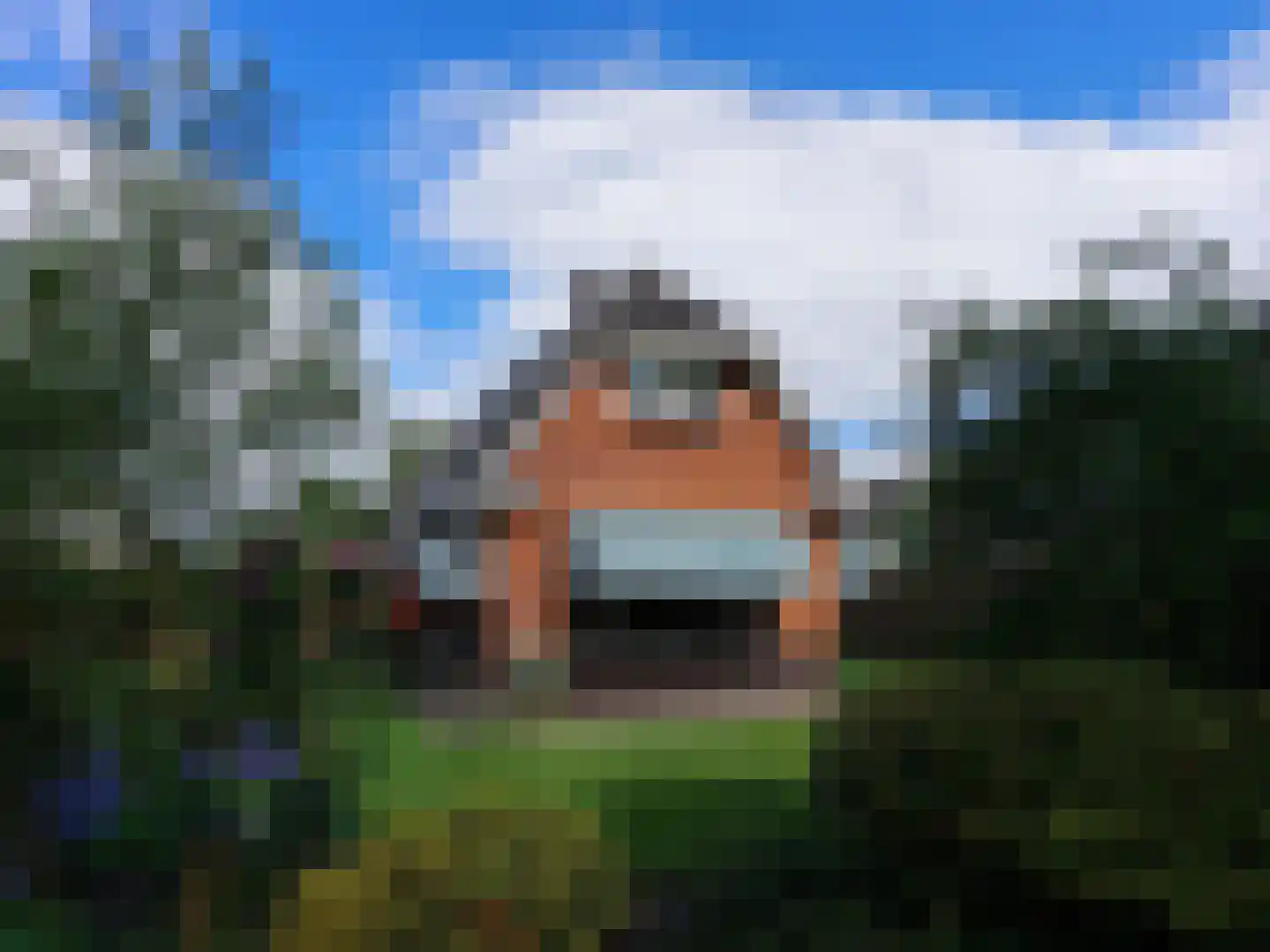 Bûtewei 33 Lippenhuizen thumbnail 4