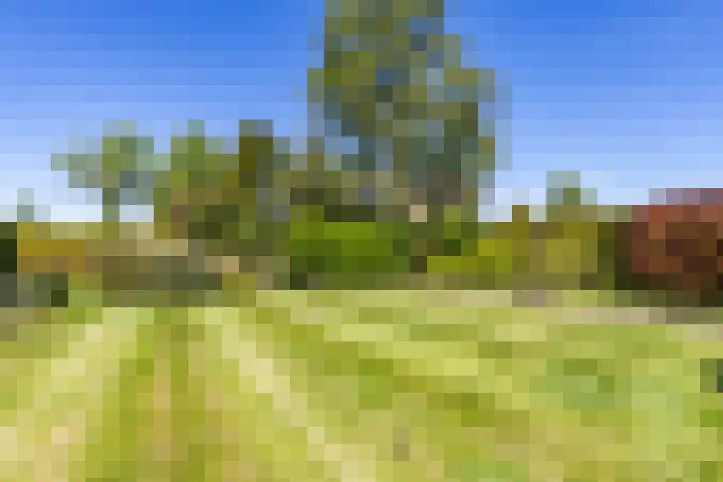 Bûtewei 33 Lippenhuizen thumbnail 46