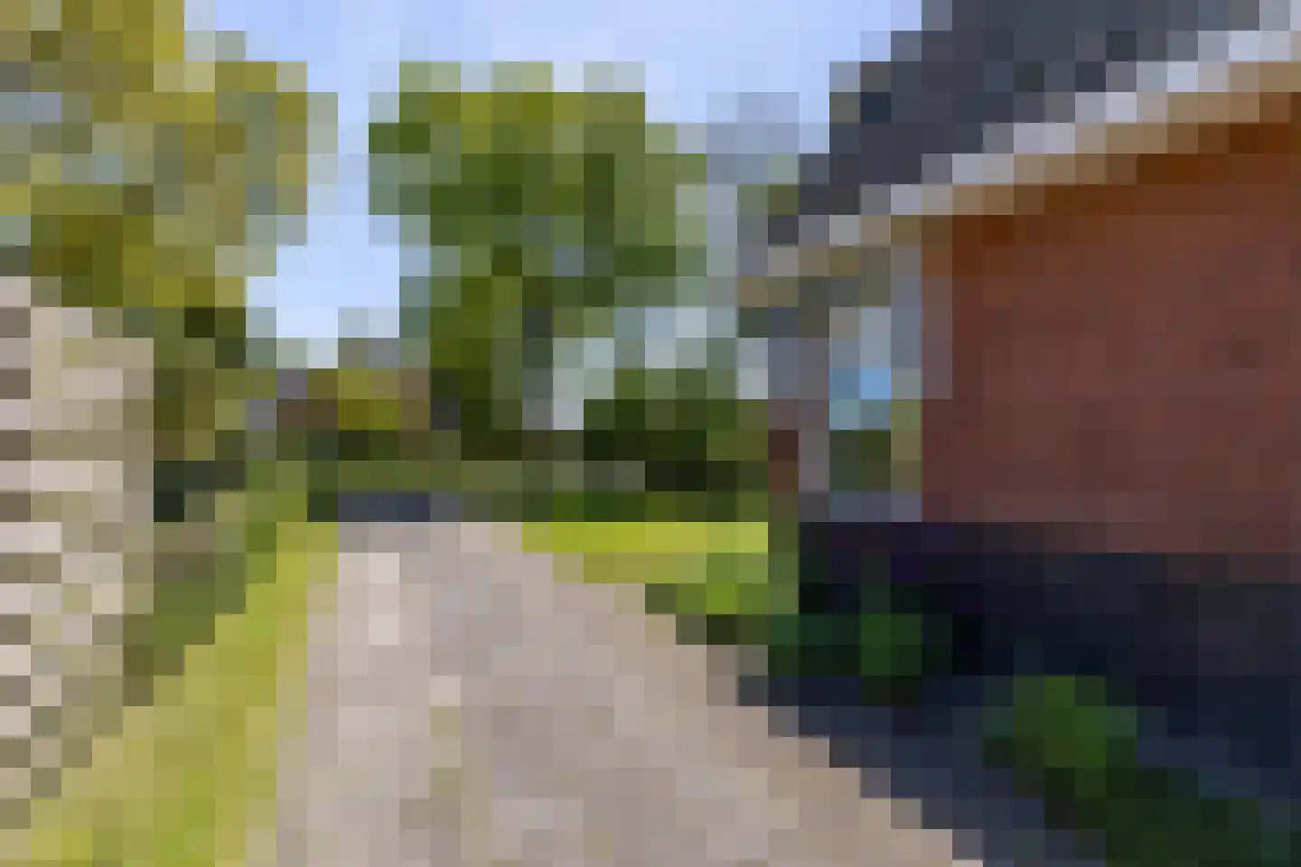 Bûtewei 33 Lippenhuizen thumbnail 5