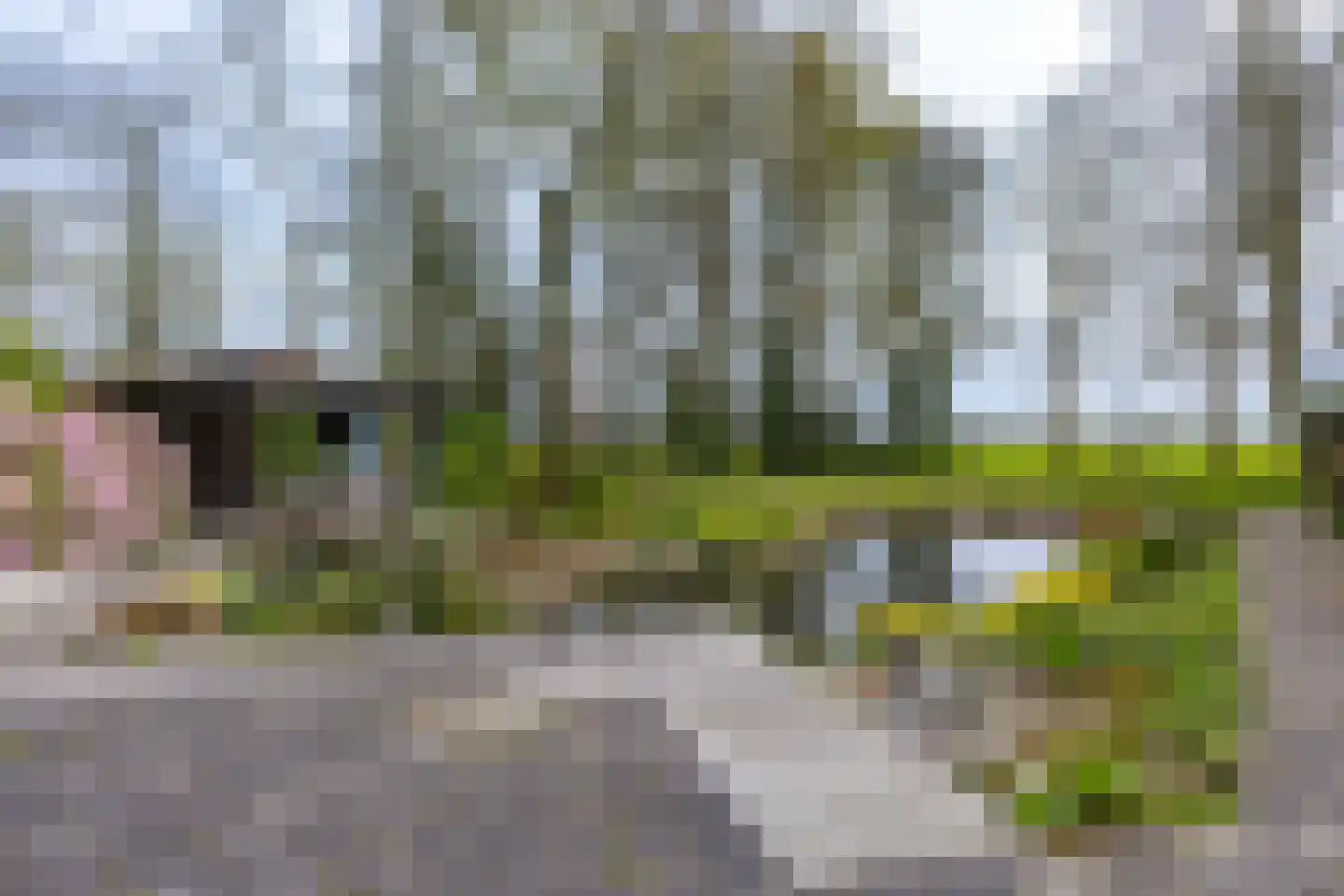 Bûtewei 48 Wijnjewoude thumbnail 16