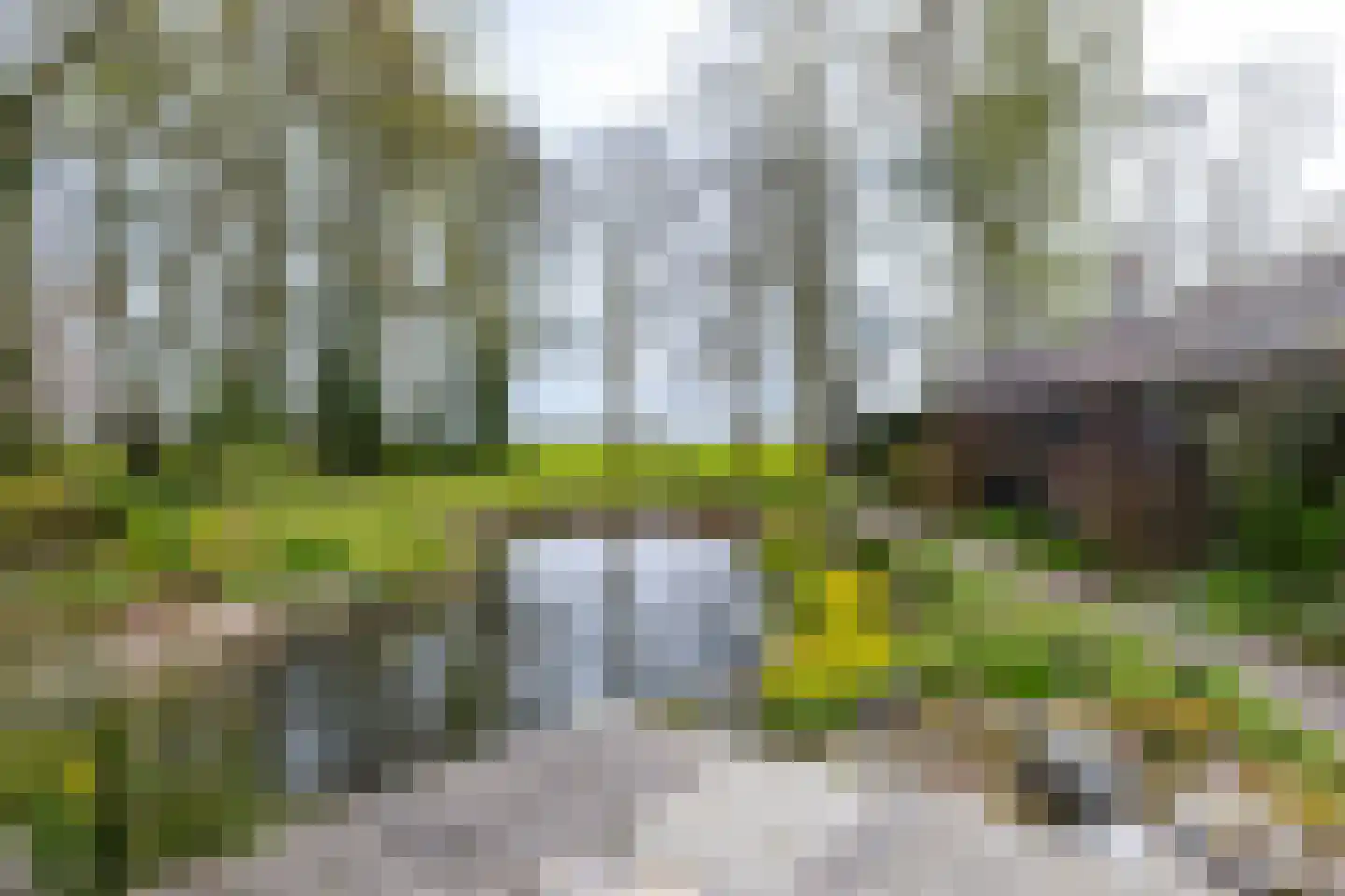 Bûtewei 48 Wijnjewoude thumbnail 17