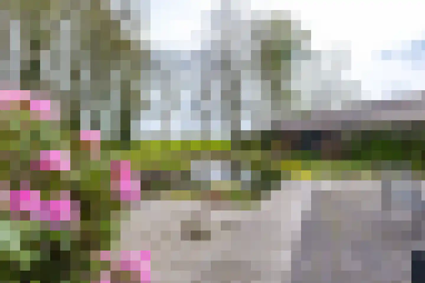 Bûtewei 48 Wijnjewoude thumbnail 19