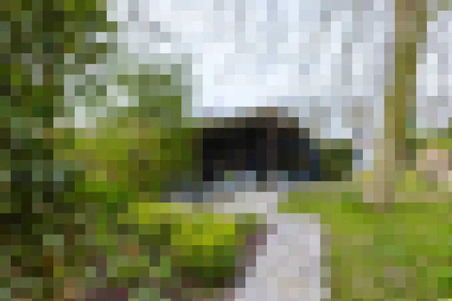 Bûtewei 48 Wijnjewoude thumbnail 20