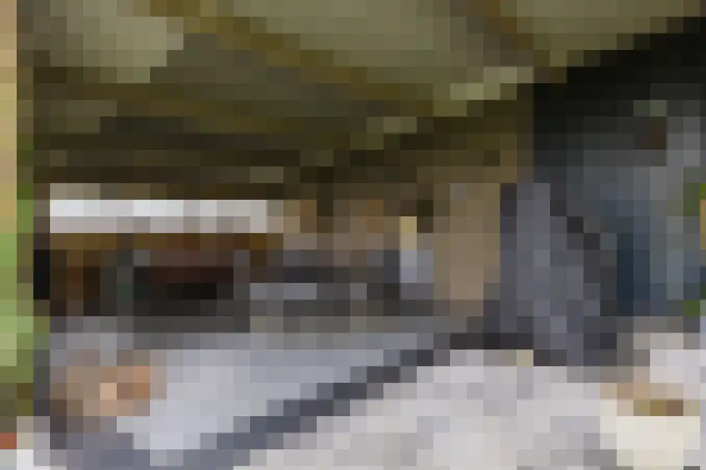 Bûtewei 48 Wijnjewoude thumbnail 21